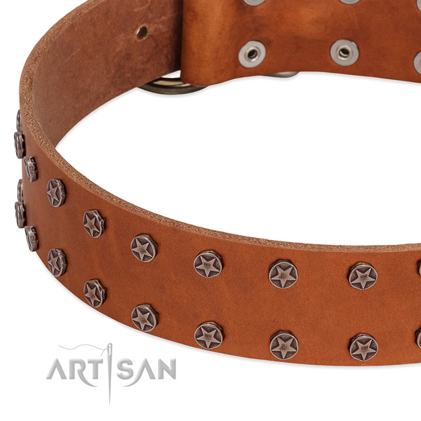 Tan leather dog collar with vintage decorations