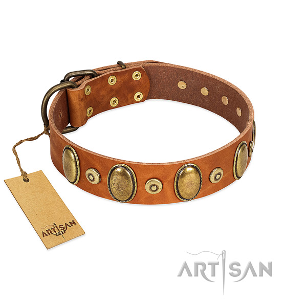 Premium Quality Tan Leather Collar with Royal Decorations