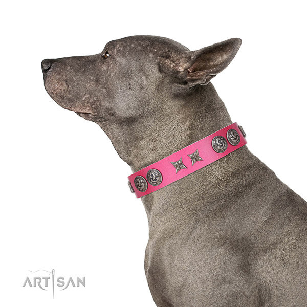 Extraordinary walking pink leather Thai Ridgeback collar with chic decorations