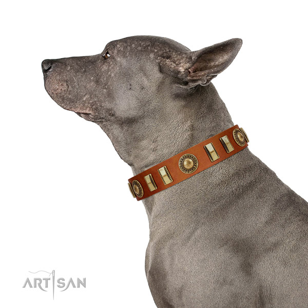 Natural Leather Thai Ridgeback Collar with Incredible Adornments