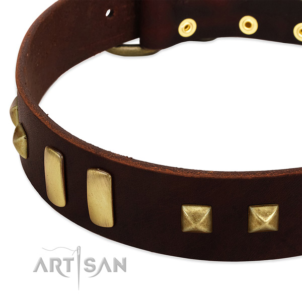 Brown Dog Collar with Old-bronze Plated Decorations