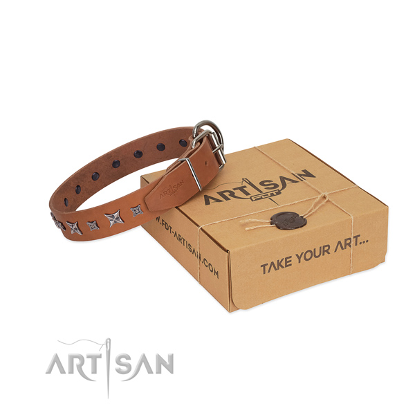 FDT Artisan leather dog collar for walks