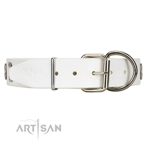 Long-lasting leather dog collar with belt-like buckle