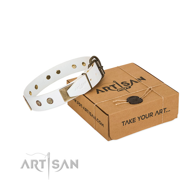 Elegant Dog Collar with Exquisite Combo of Large Plates and Small Studs