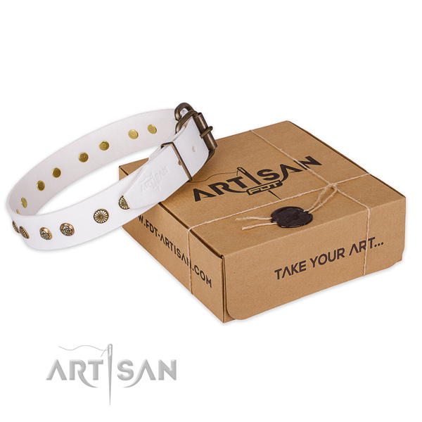 Sensational white leather dog collar