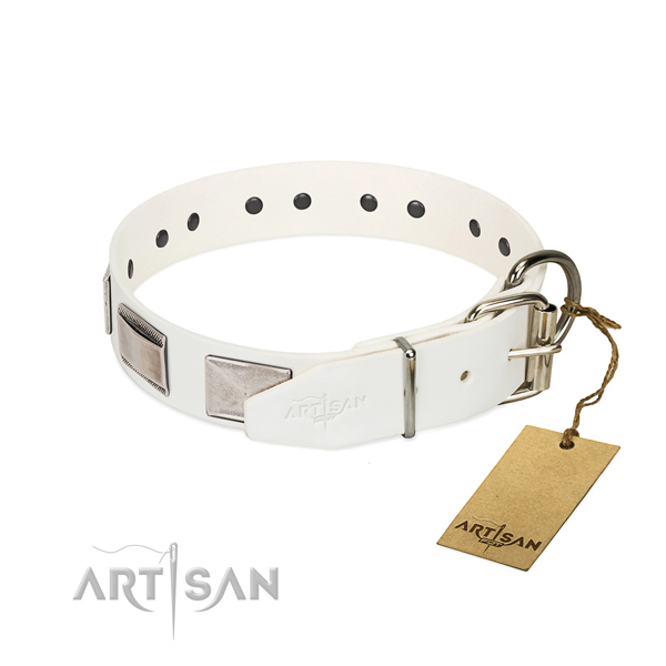 Reliable FDT Artisan leather dog collar