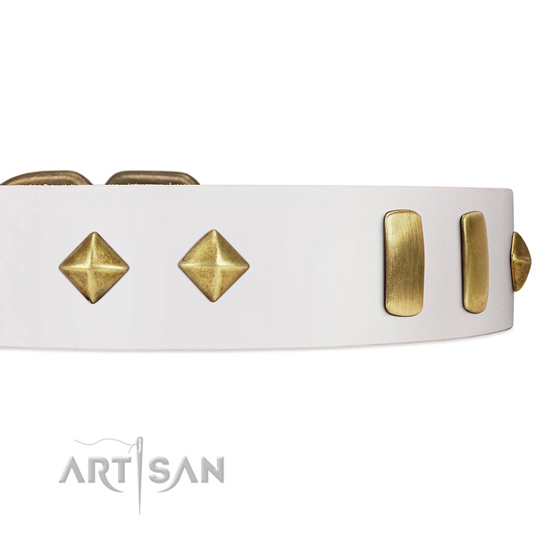 Old Bronze-like Plated Engraved Adornments on White Leather Dog Collar