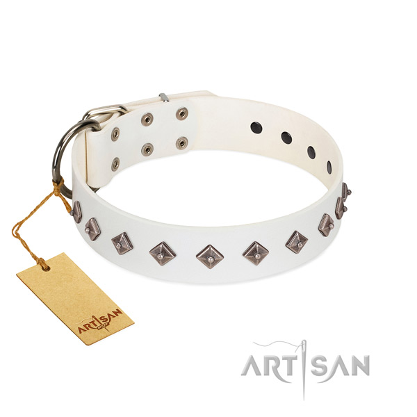 Fabulous FDT Artisan leather dog collar