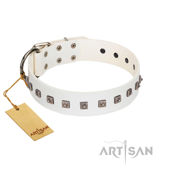 Fabulous FDT Artisan leather dog collar