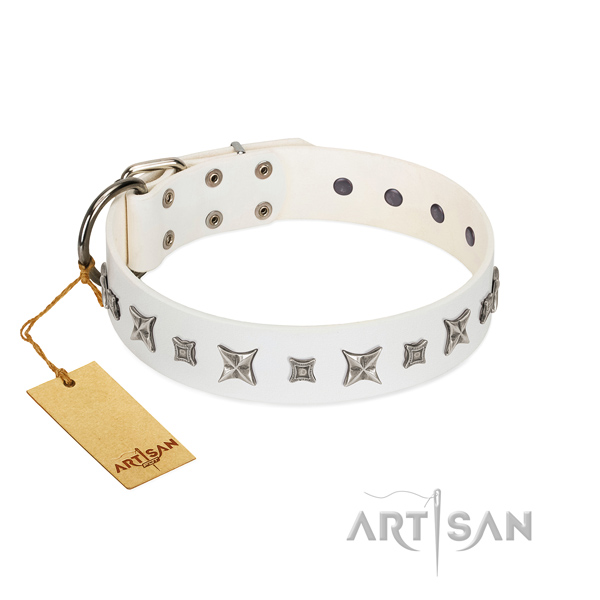 Fabulous FDT Artisan leather dog collar