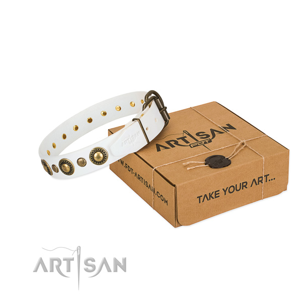 FDT Artisan leather dog collar for your best dog