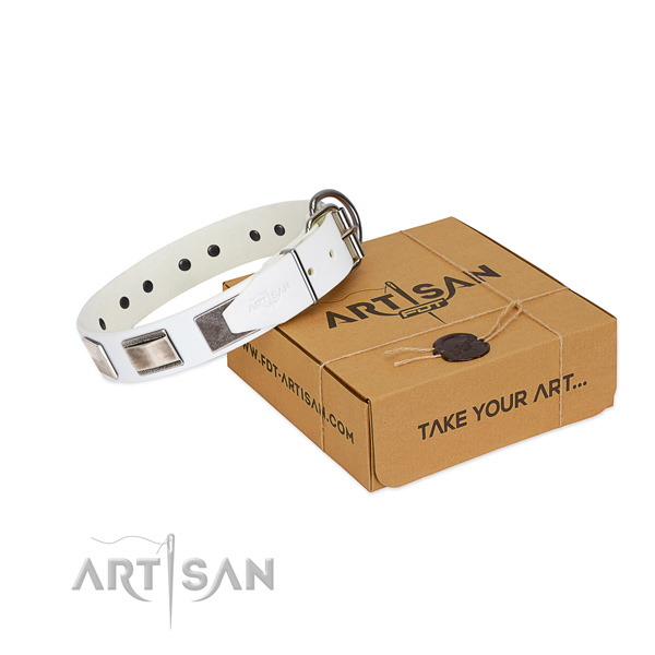 FDT Artisan leather dog collar for your best dog