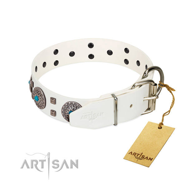 Comfortable to wear leather dog collar with reliable buckle and D-ring