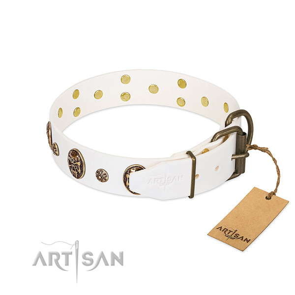 White dog collar with old bronze-like hardware