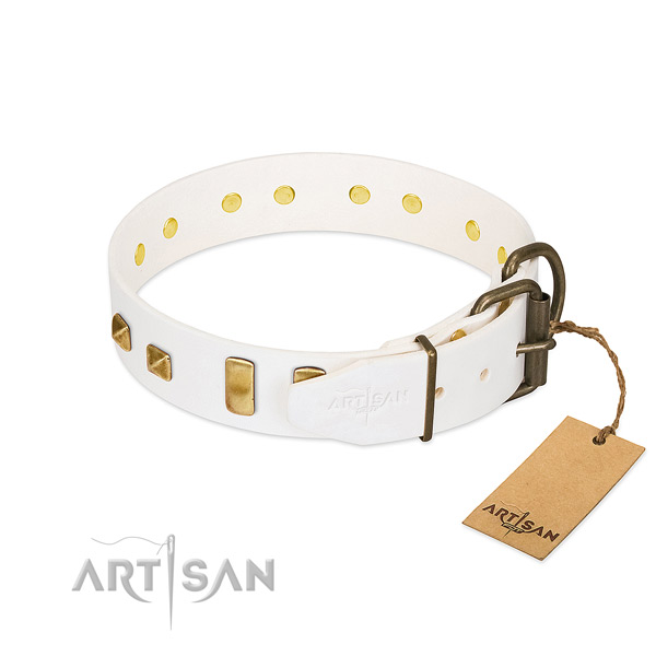 Designer Dog Collar Equipped with Rustproof Hardware