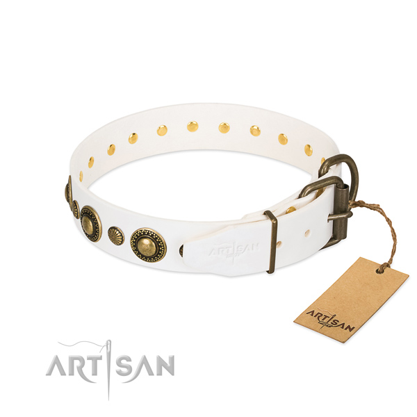 Reliable FDT Artisan leather dog collar