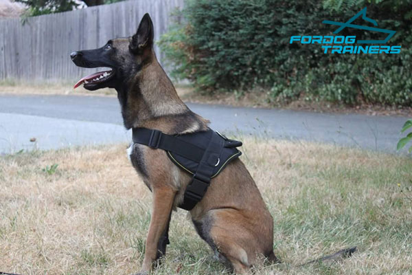 Lightweight Nylon Belgian Malinois Harness - Super Practical Model