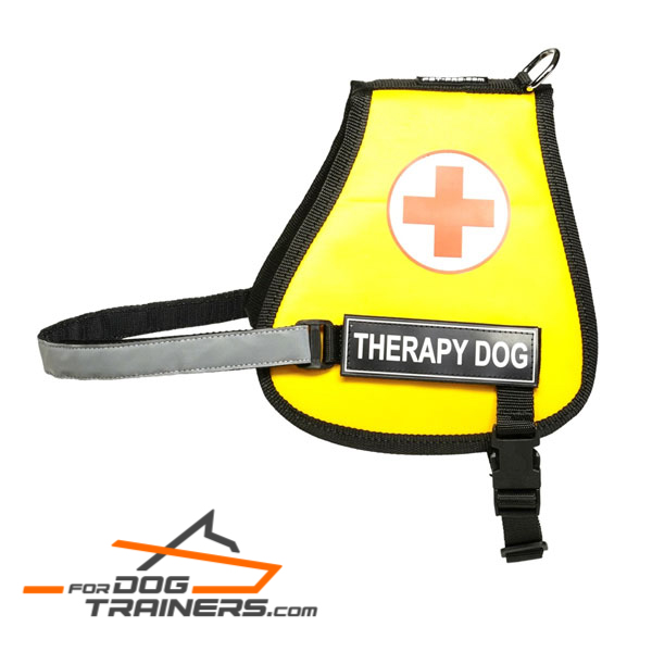 Nylon Dog Harness