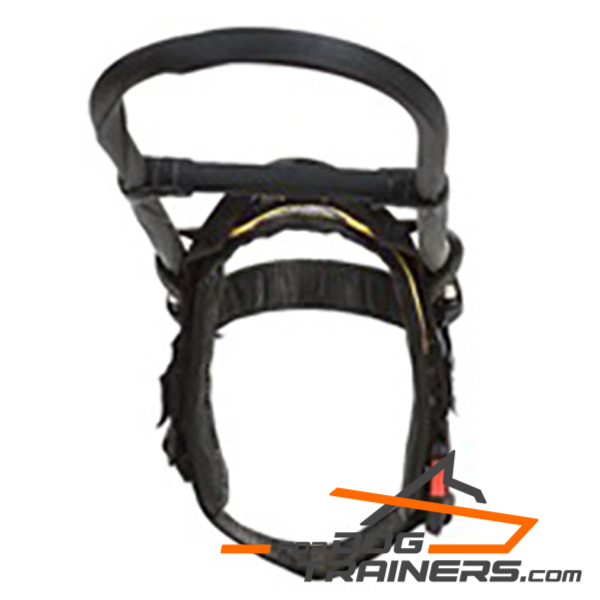 Leather Guide Dog Harness