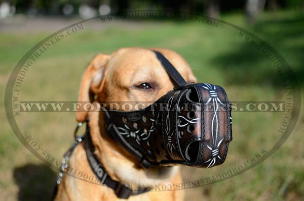 Agitation work Labrador muzzle