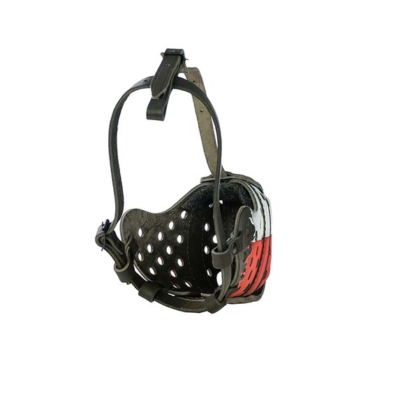 Fire leather hand-painted dog muzzle for dog training