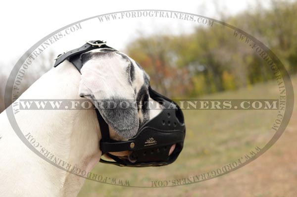 Great Dane Leather Muzzle for Agitation Muzzle