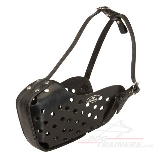 Adjustable leather dog muzzle