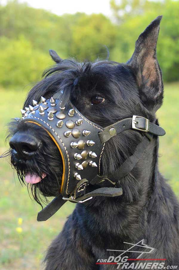 Breathable Leather Riesenschnauzer Muzzle