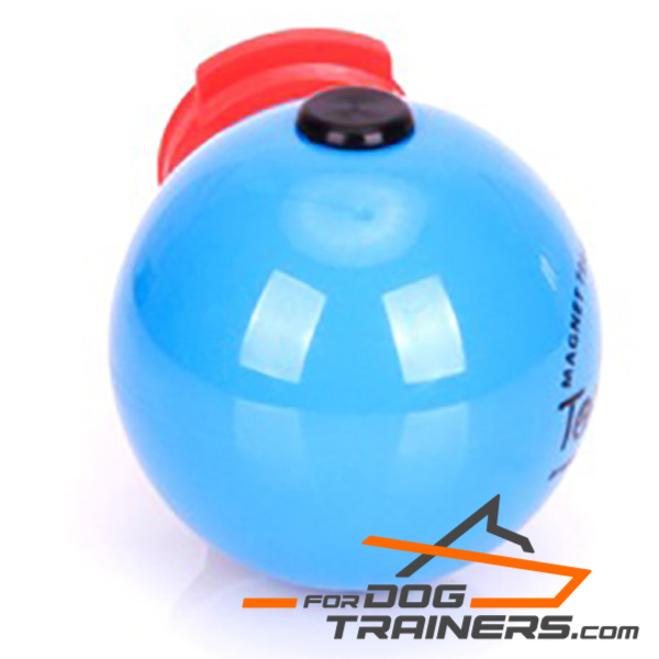 Ball for Dog for Training Young and Adult Dogs