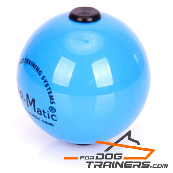 Ball for Dog for Training Young and Adult Dogs