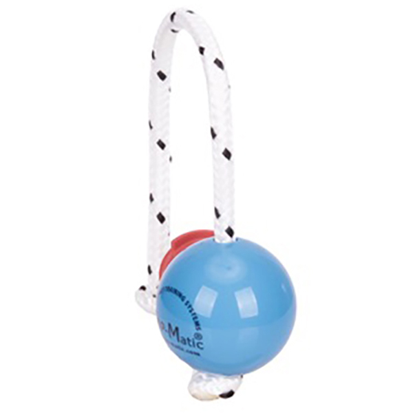 Mini Blue Dog Ball with Super Strong Magnets