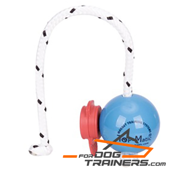 Top Notch Blue Dog Ball with Set of Red Magnets 