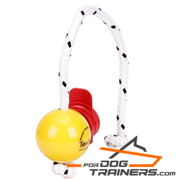 Ball for Dog for Training Young and Adult Dogs