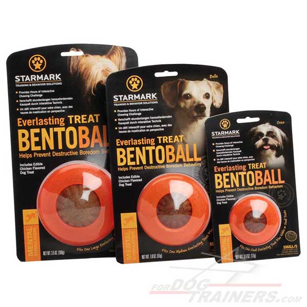 Chew Dog Rubber Toys for Fun Three Sizes