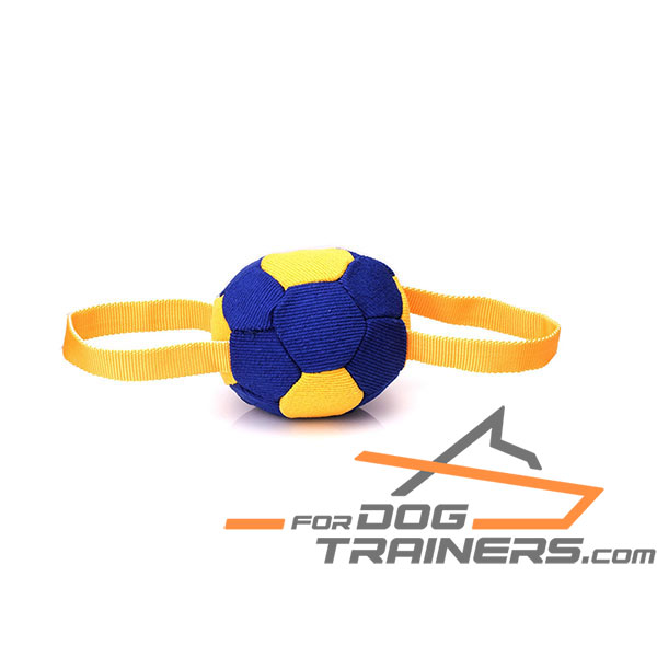 Durable Dog Bite Tug with Two Handles