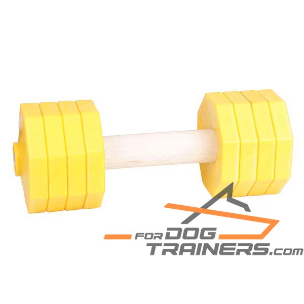 Professional Training Dog Dumbbell