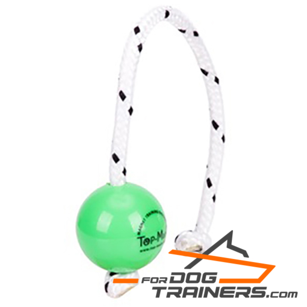 Top Notch Dog Ball