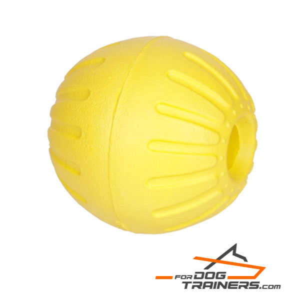 Dog training ball