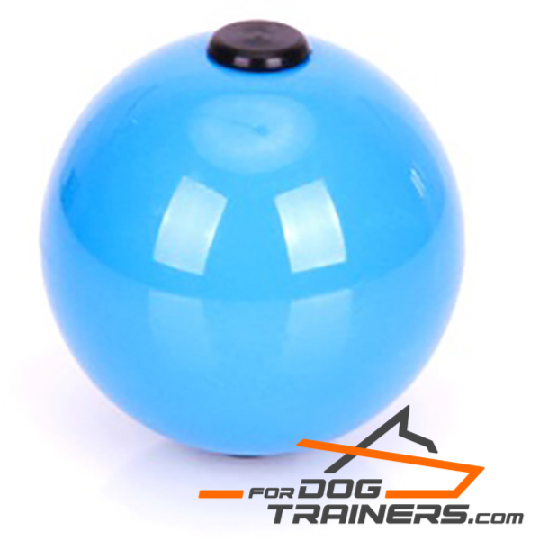 Ball for Dog for Training Young and Adult Dogs