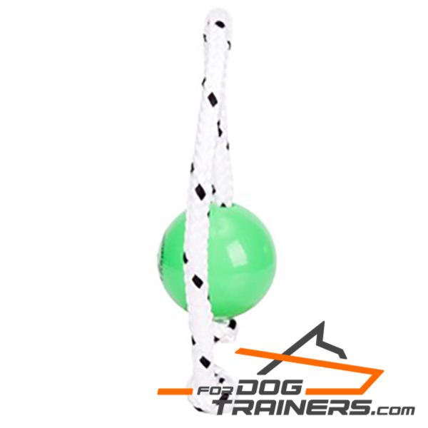 Top Notch Toy for Dogs