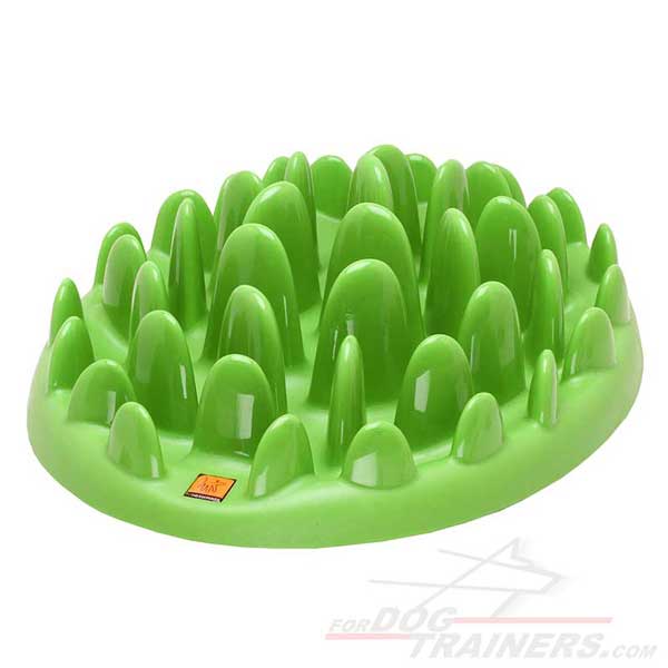 Pet feeder hard plastic