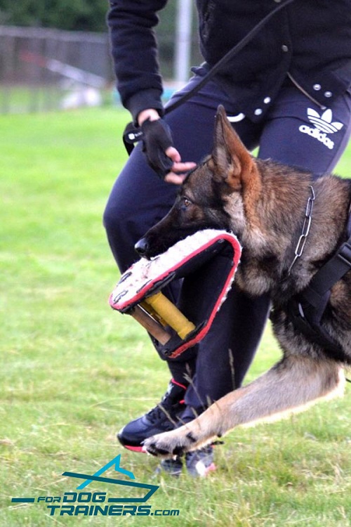 German Shepherd Training with Jute Bite Developerwith 3 Handles