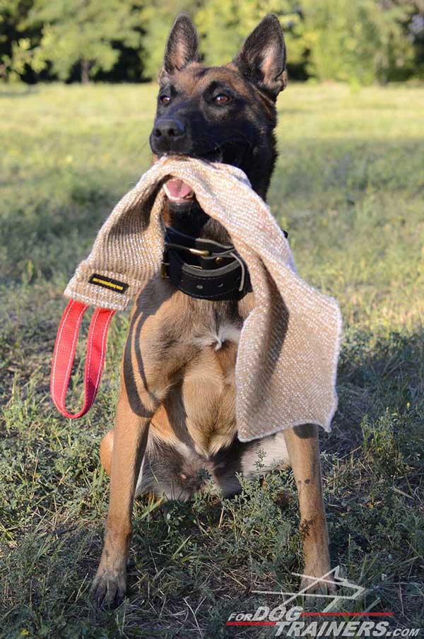 Dog-friendly Jute Bite Rag with Comfortable Handle