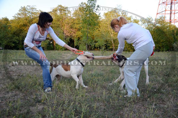 Jute Bite American Bulldog Tug with Strong Nylon Handles