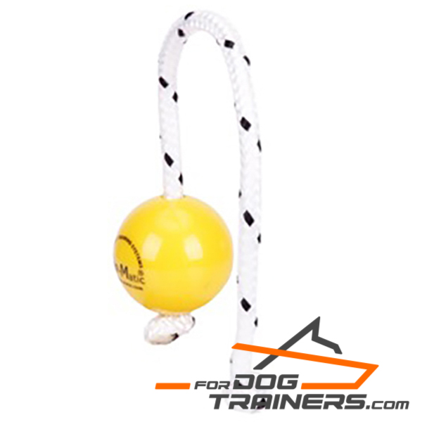 Magnetic Mini Dog Ball of Top Quality  Plastic