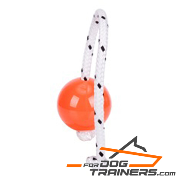 Ball for Dog for Training Young and Adult Dogs