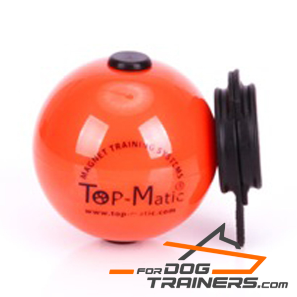 Training Plastic Dog Ball with Set of Magnets