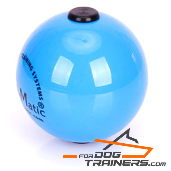 Ball for Dog for Training Young and Adult Dogs