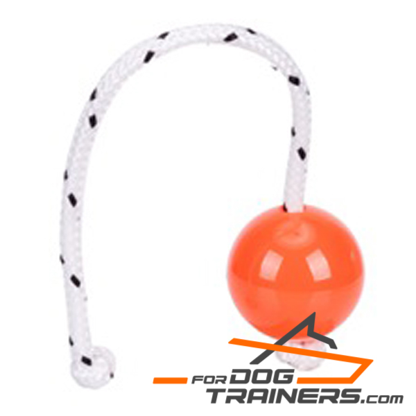 Ball for Dog for Training Young and Adult Dogs