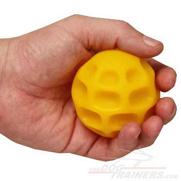 Tetraflex Dog Training Ball for Food Dispensing